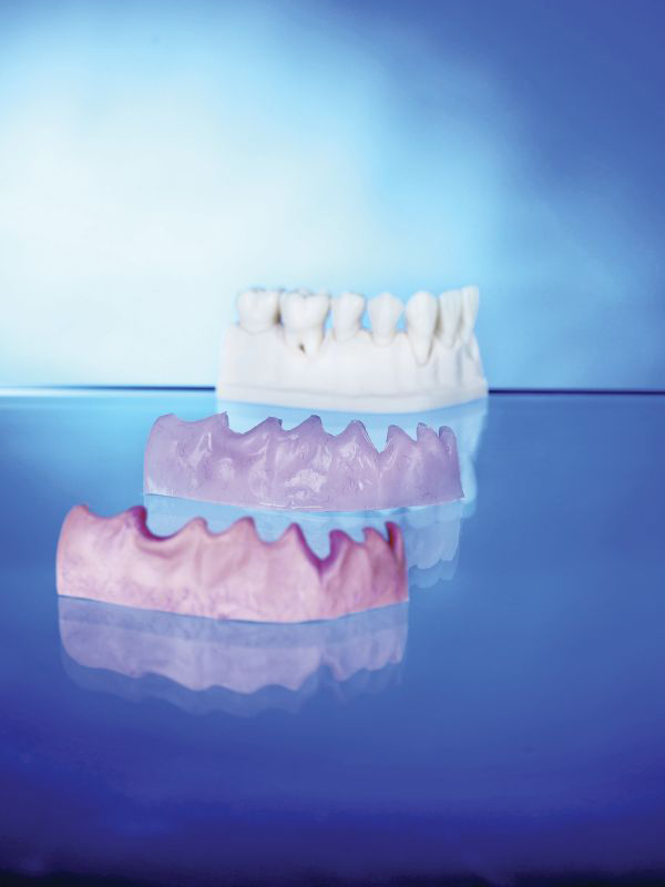 Model with one or two removable gingivae